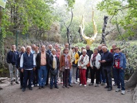 Bretagne : Lohéac et Brocéliande - Bretagne 2015 Arbre d'Or Groupe