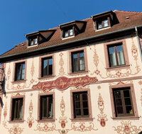 Club Venturi - Alsace 2021