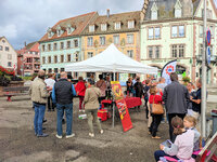 Club Venturi - Alsace 2021