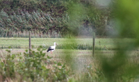 Sept 2022 Baie de Somme