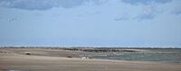 Sept 2022 Baie de Somme