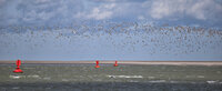 Sept 2022 Baie de Somme
