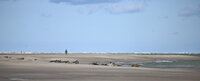 Sept 2022 Baie de Somme